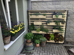 Truhlíky, vyvýšené záhony