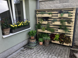 Truhlíky, vyvýšené záhony